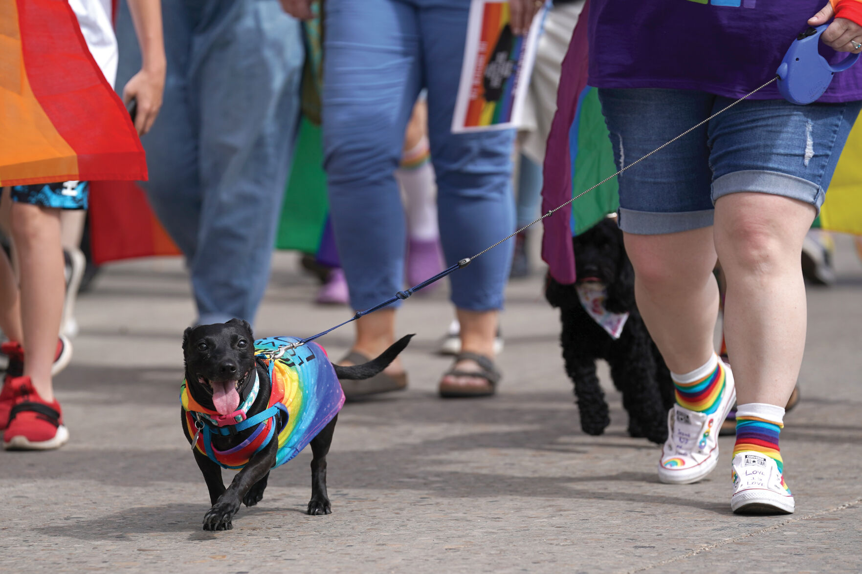 PRIDE Standalones 004.jpg